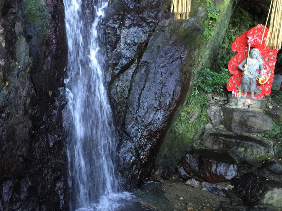 b0002156_10331686.jpg