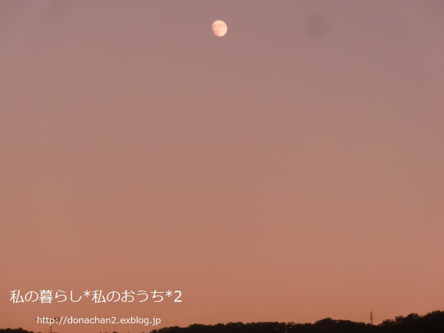e0354456_2344757.jpg