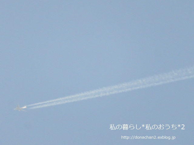 e0354456_2352033.jpg