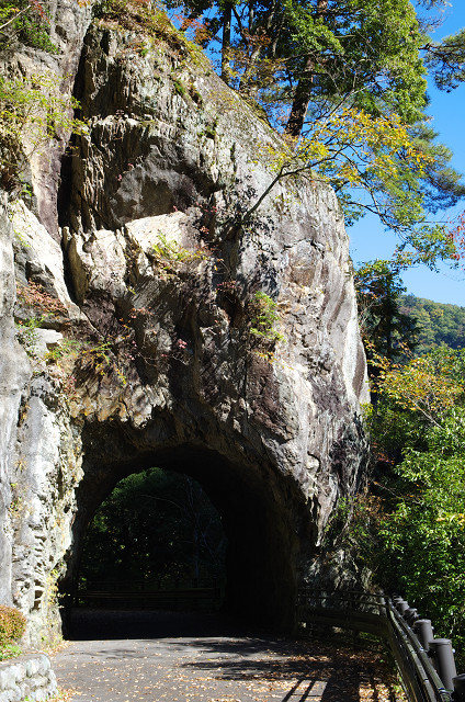 c0080357_23243367.jpg