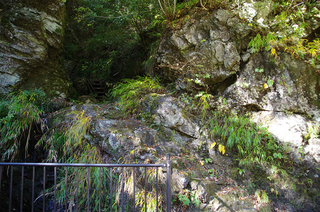 c0080357_2325036.jpg