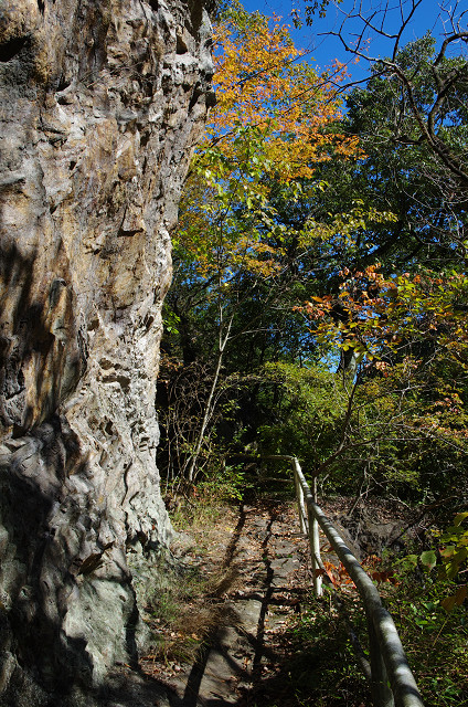 c0080357_23272552.jpg