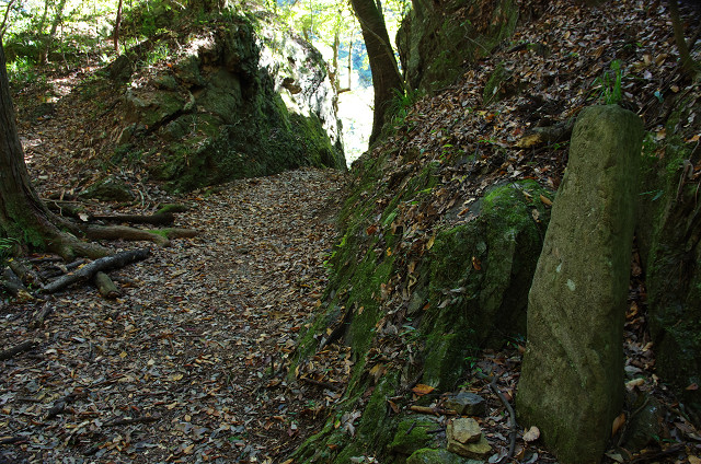 c0080357_23281495.jpg