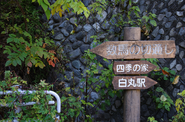 c0080357_2329092.jpg