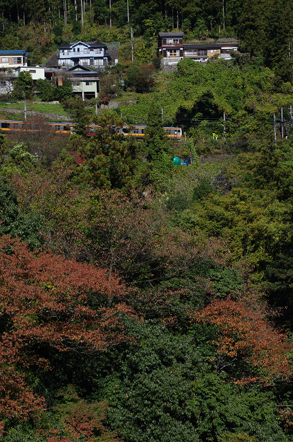 c0080357_23301918.jpg
