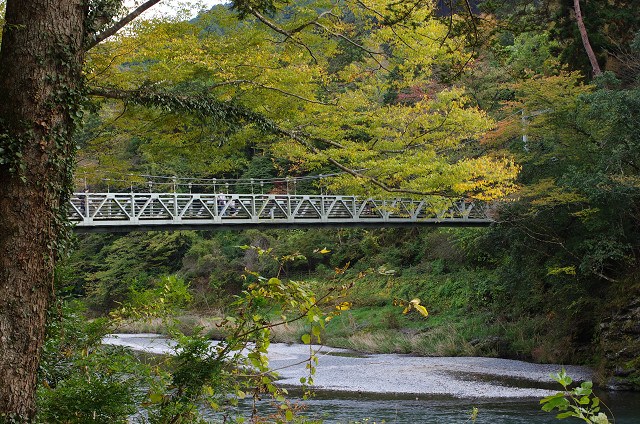 c0080357_23311947.jpg