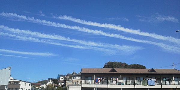 d0021258_204747.jpg