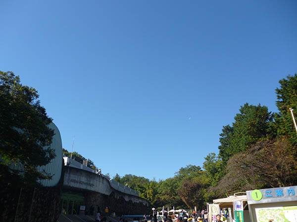 f0227963_20345960.jpg