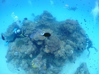 b0033573_22131657.jpg