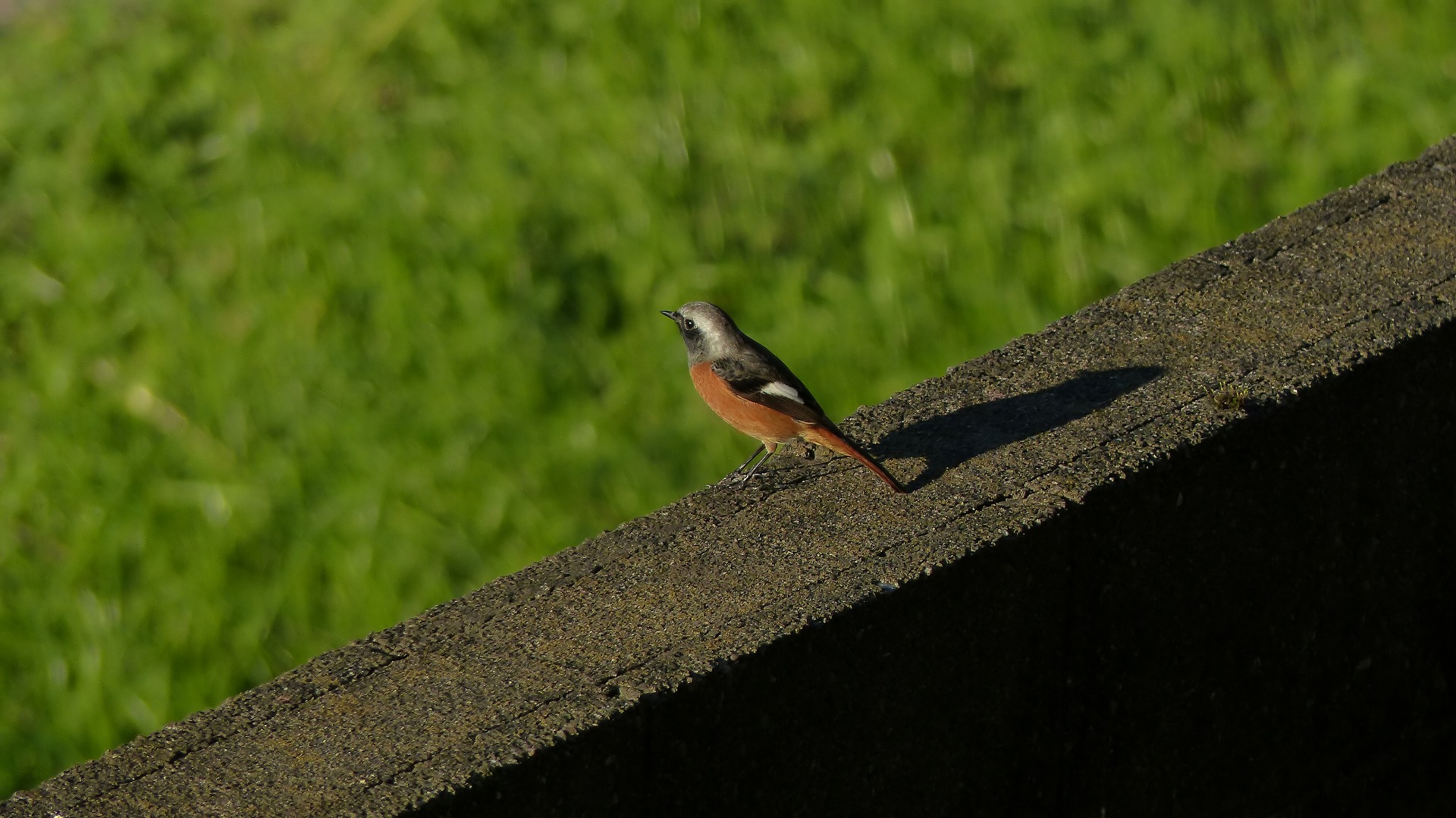 a0185081_10481830.jpg