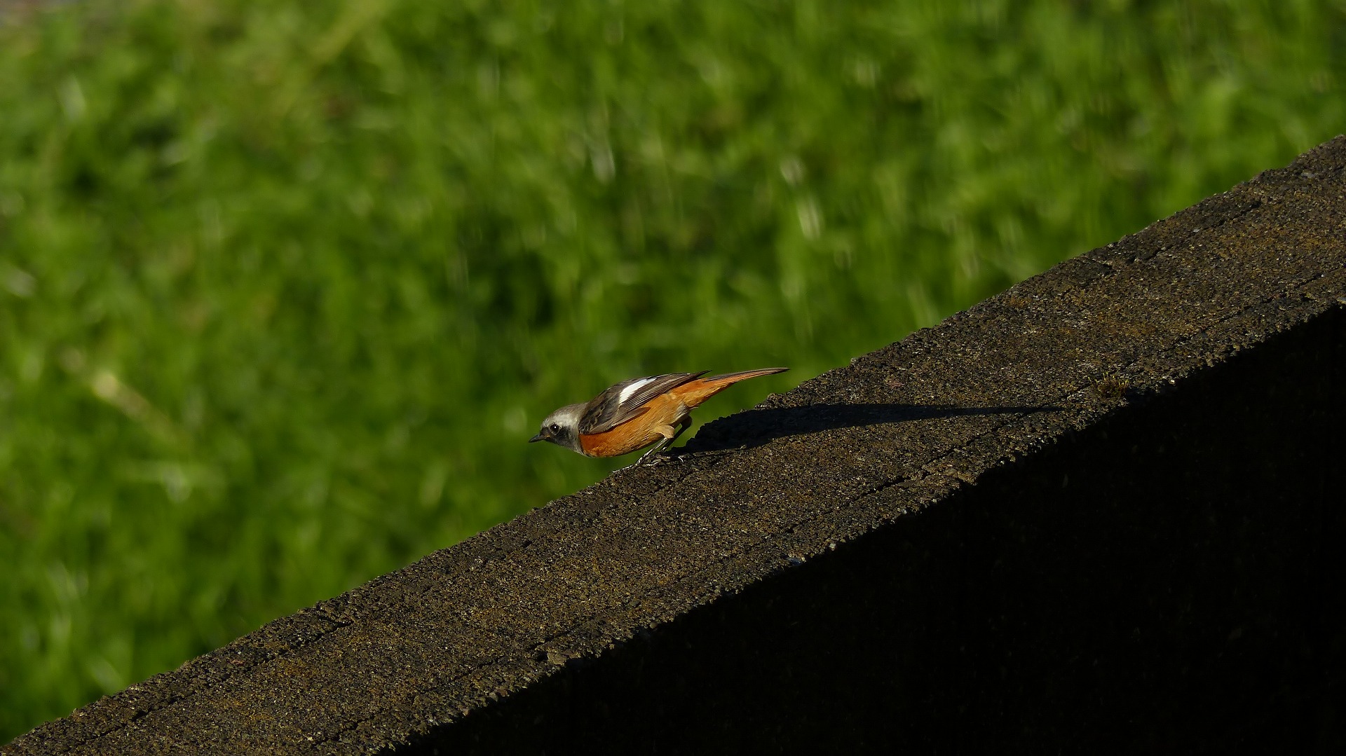 a0185081_10482981.jpg