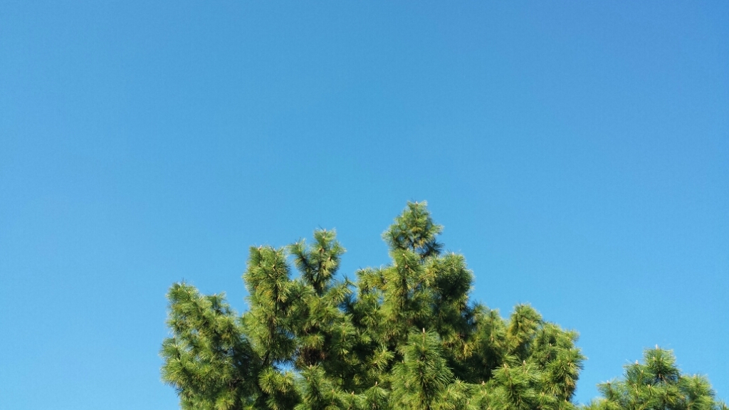 b0104981_03113940.jpg