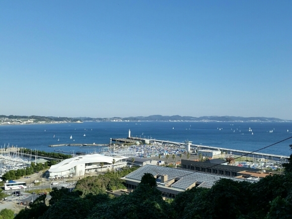 f0199881_10075906.jpg