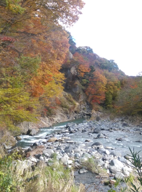 c0096582_16321636.jpg