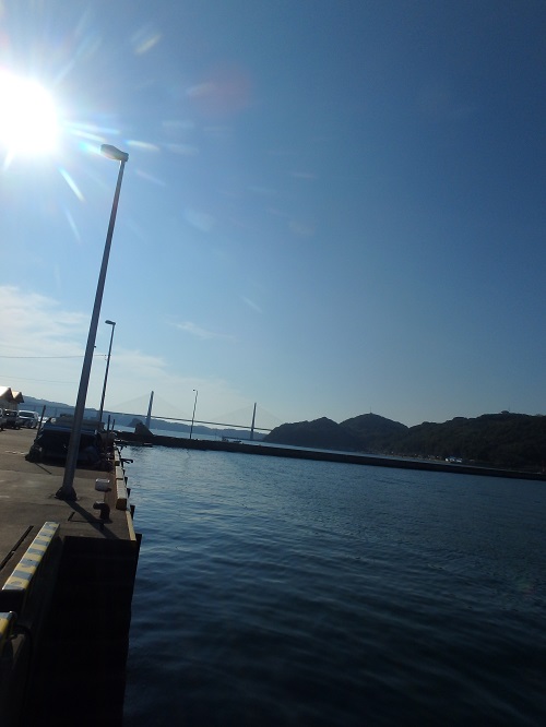 d0174683_3583268.jpg