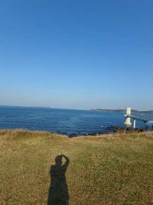 d0174683_434020.jpg