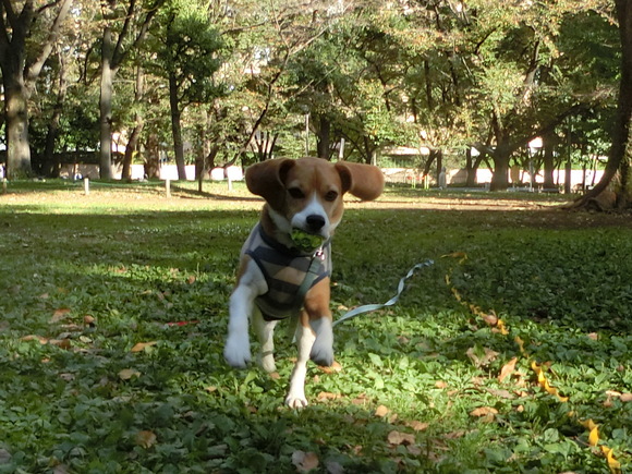 a0319693_8425793.jpg