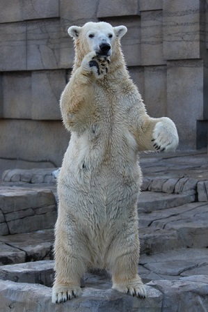 f0297893_1712087.jpg