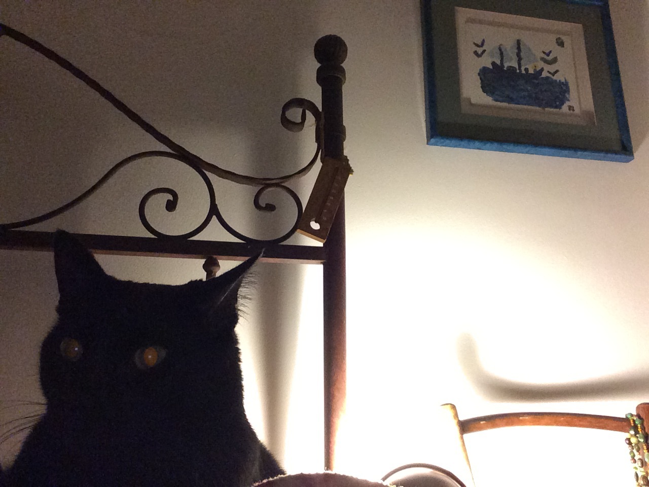 d0130296_10054372.jpeg