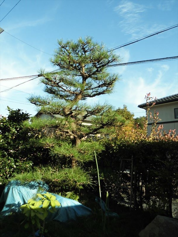 c0108198_183256.jpg