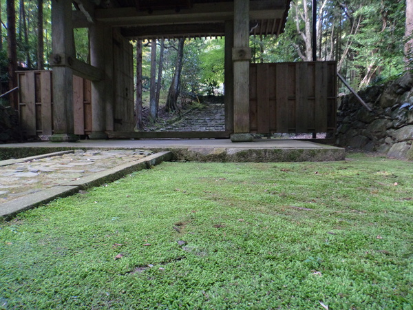 c0266004_181016.jpg