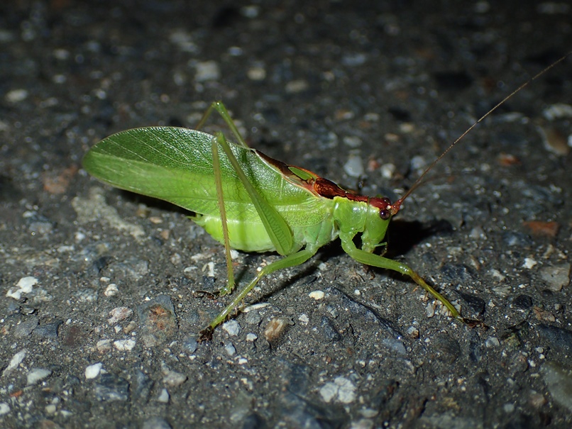 b0137208_18452119.jpg