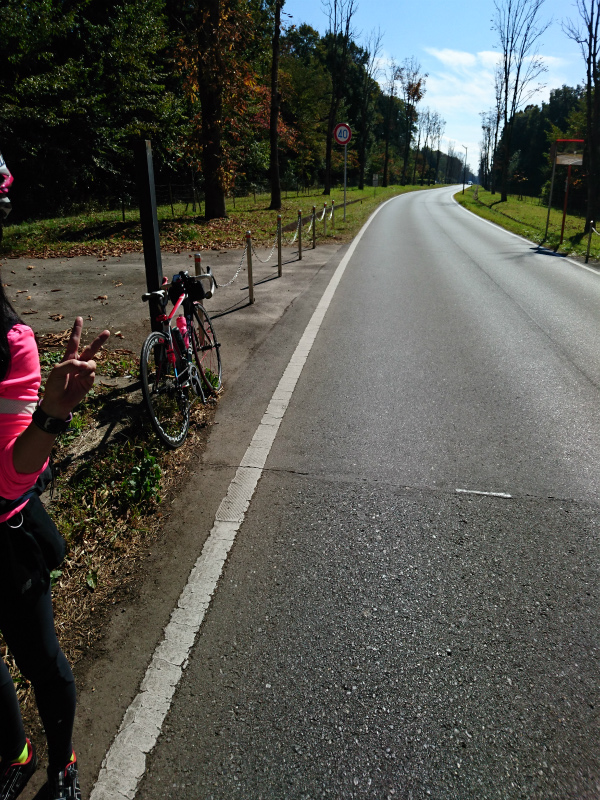 f0100911_2351139.jpg