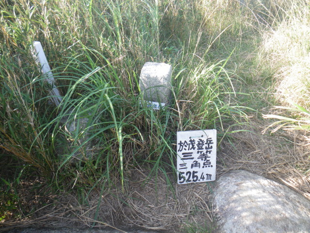 d0006512_00023324.jpg