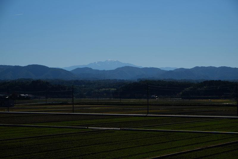a0278914_1636274.jpg