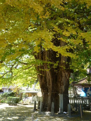 f0111015_17295671.jpg