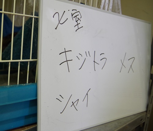 f0078320_12431913.jpg