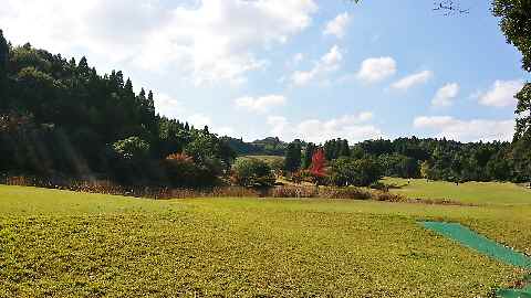 e0047322_15402434.jpg
