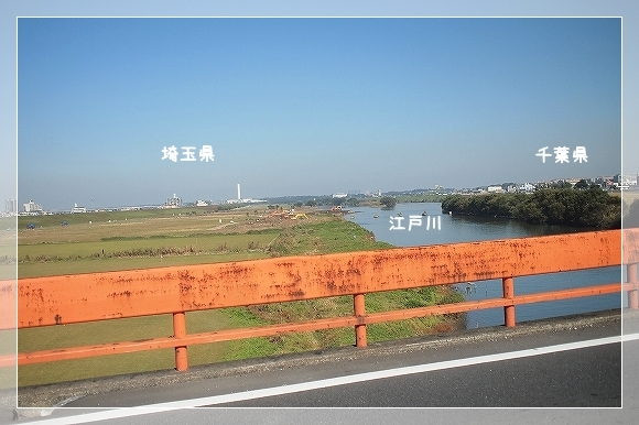 d0179828_08091842.jpg