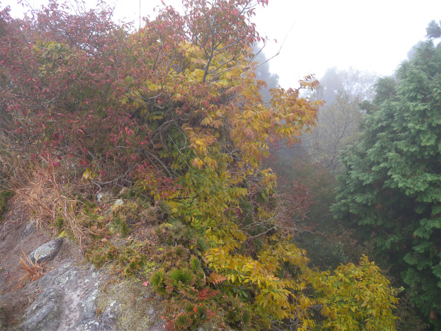 e0272335_16113670.jpg