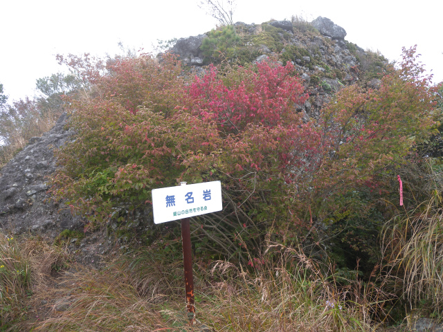 e0272335_1782126.jpg
