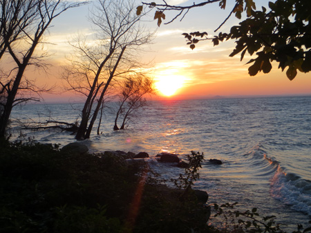 f0234936_7363751.jpg