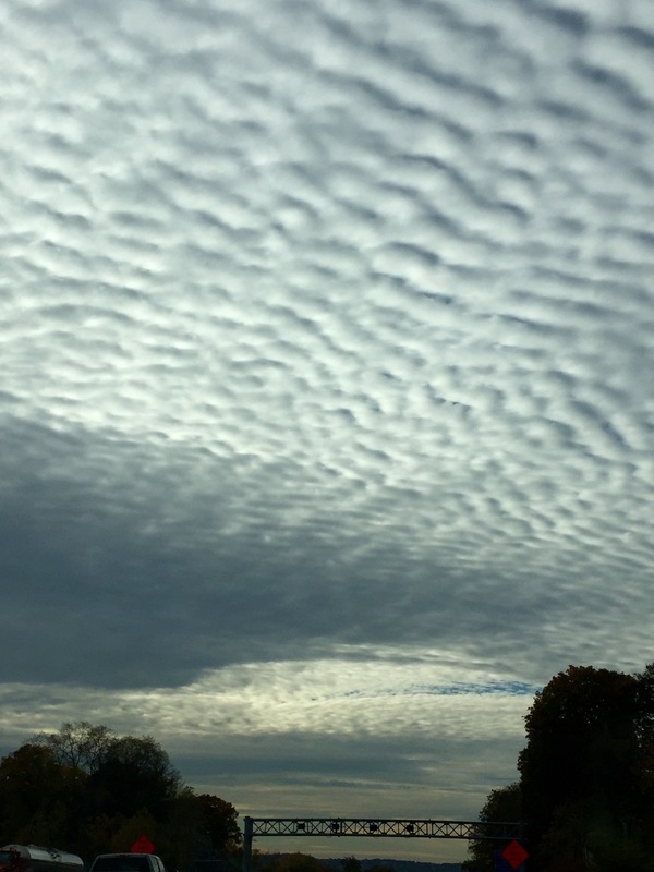 a0224537_634197.jpg