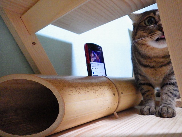 a0337237_14144850.jpg