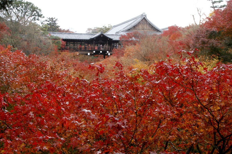 b0042837_2216416.jpg