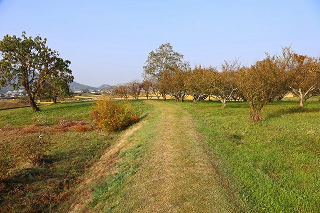 a0242438_1937421.jpg