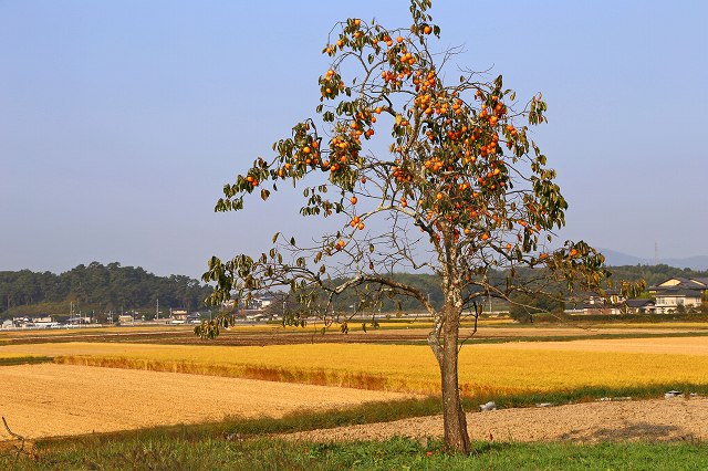 a0242438_19375856.jpg