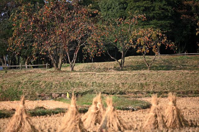 a0242438_1947507.jpg