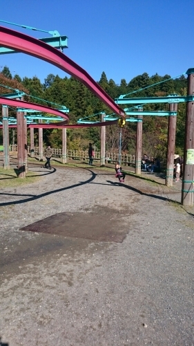e0059938_17225489.jpg
