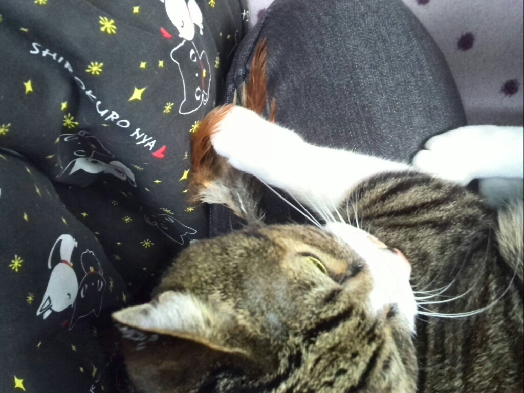 c0194042_09582889.jpg