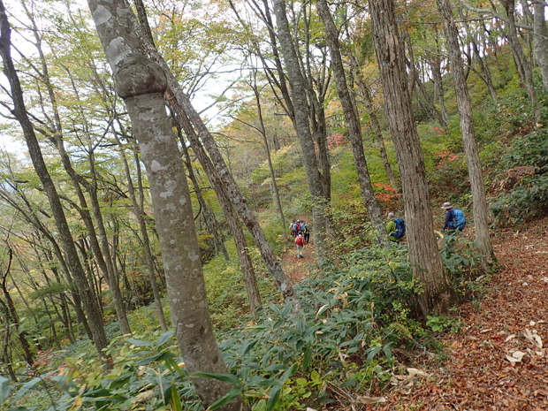 f0214649_622298.jpg