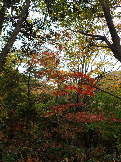f0214649_6232268.jpg