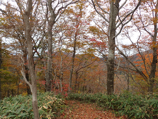 f0214649_691115.jpg