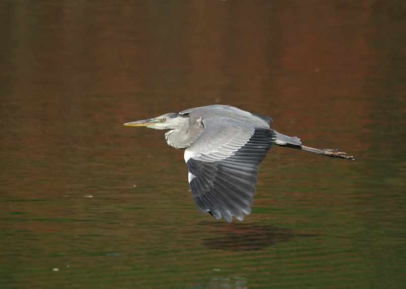 c0334250_22410847.jpg