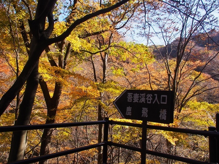 b0335256_21481060.jpg