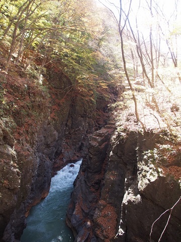 b0335256_21492537.jpg